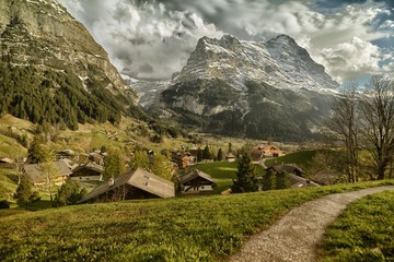 _WYY3180