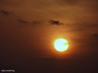 DSC00707_Fotor