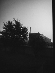 IMG_20131229_170642