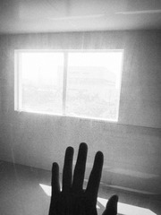 IMG_20131022_121516