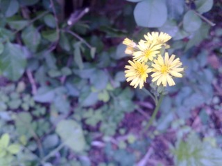 201203022745