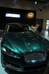DSC_6813.jpg