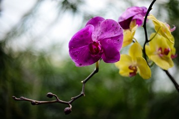DSC_6943-2