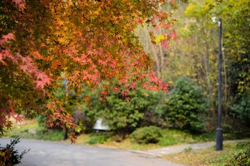 DSC_6992-3