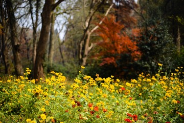DSC_6999-4