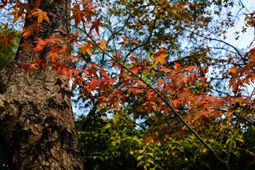 DSC_7031-8