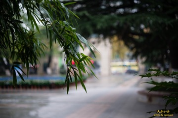 _DSC4854-4
