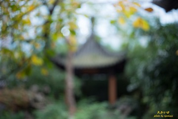 _DSC4865-5