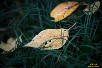 _DSC4867-6