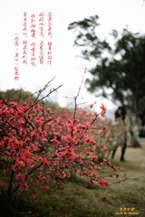DSC_3309-编辑-2