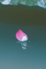 1000011646