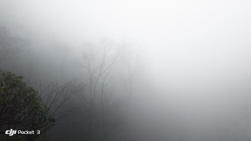 1000013266