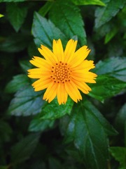 4C174E6A-F0E1-480C-99FB-5F225DDD12D6/L0/001