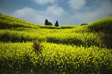 09