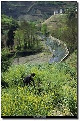 05.jpg