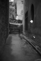 2011 02 23 033