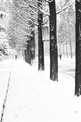 -IMG_2224