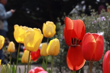 IMG_7431.JPG