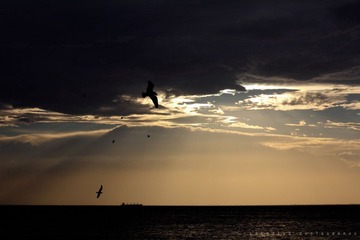 IMG_12151.jpg