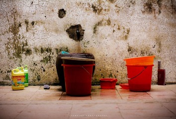 IMG_3195.jpg