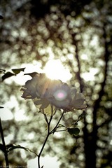IMG_4776.jpg