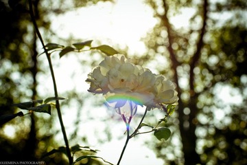 IMG_4779.jpg