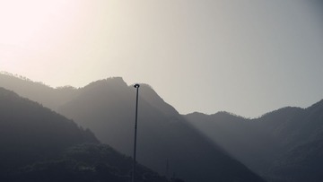 IMGP6205_