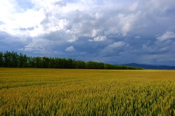 DSCF7758