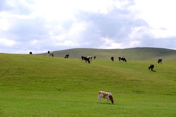 DSCF8460