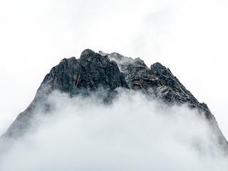 1000175210