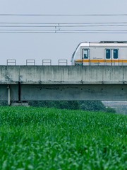 1000209762