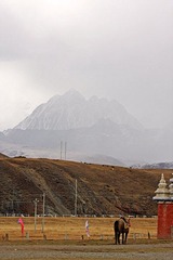 IMG_1385.jpg