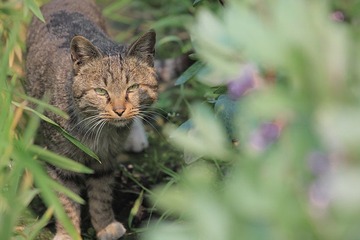 IMG_2590副本.jpg