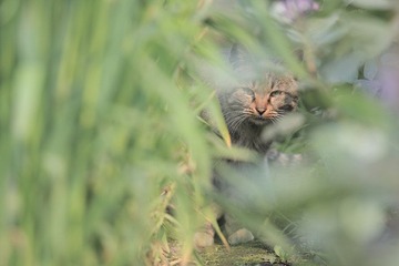 IMG_2591副本.jpg