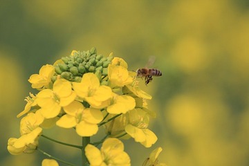 IMG_2615副本.jpg