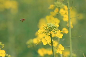 IMG_2630副本.jpg