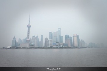 IMG_9496.jpg