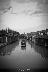 IMG_9442.jpg