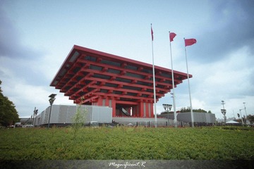 IMG_8442.jpg