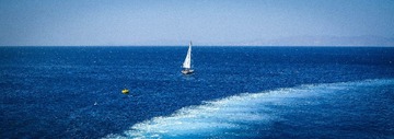 IMG_1350-3.jpg