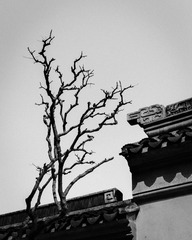 IMG_1662.jpg