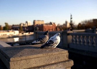 IMG_7579.jpg
