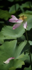 001