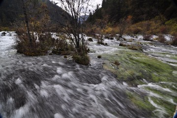 乐山，峨眉山，九寨沟，黄龙 459