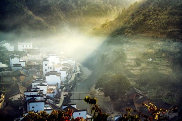 SAM_0929
