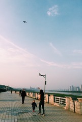 放风筝