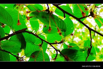 P1050752a