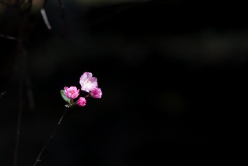 DSC_7683-2