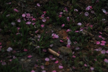 花泥