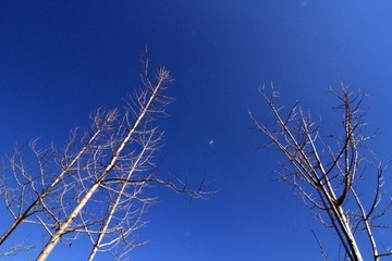 IMG_6395.CR2